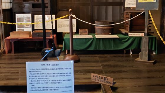 10.11小平散歩17.JPG