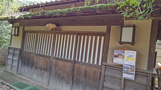 10.11小平散歩18.JPG