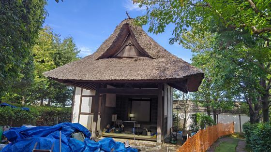 10.11小平散歩23.JPG