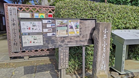 10.11小平散歩8.JPG