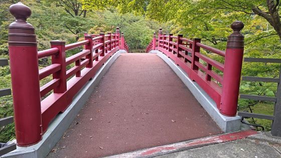 10.15弥彦公園10.JPG