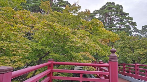 10.15弥彦公園11.JPG