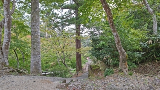 10.15弥彦公園12.JPG