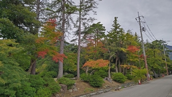10.15弥彦公園2.JPG