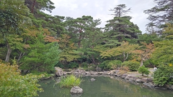10.15弥彦公園4.JPG