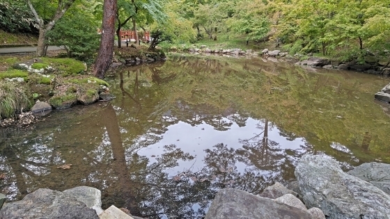 10.15弥彦公園5.JPG