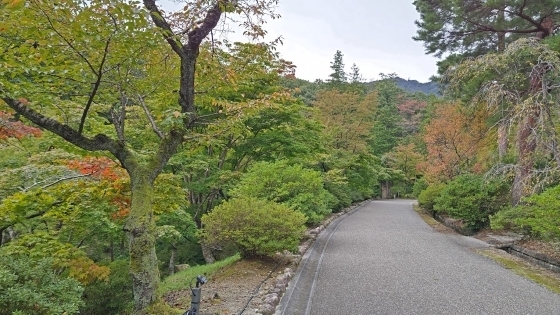 10.15弥彦公園8.JPG