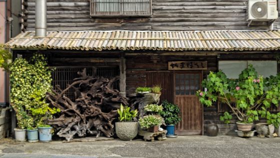 10.15新潟11.JPG
