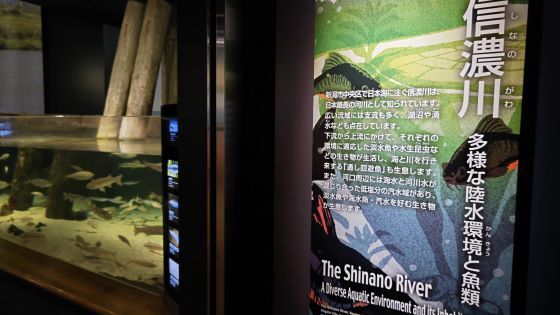 10.16水族館14.JPG