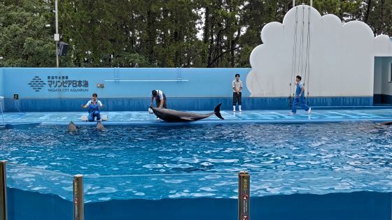 10.16水族館16.JPG