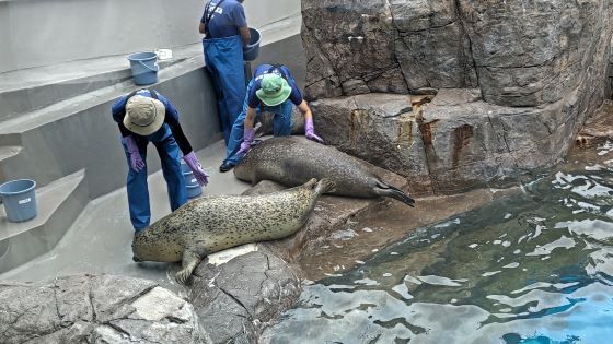 10.16水族館17.JPG