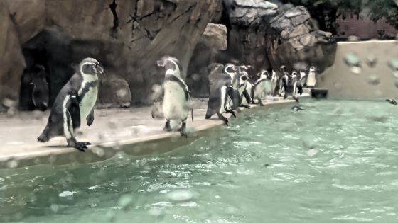 10.16水族館19.JPG