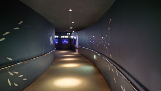 10.16水族館5.JPG