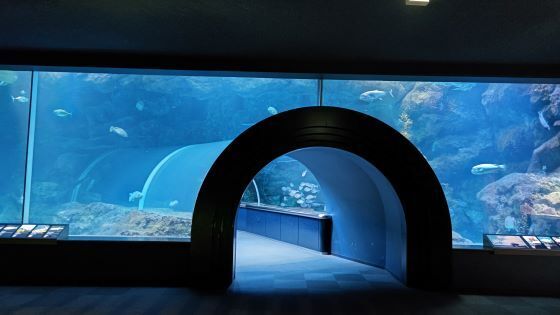 10.16水族館8.JPG