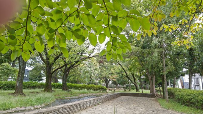 10.1つつじ公園1.JPG