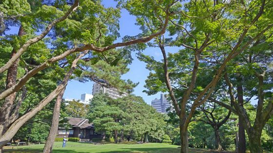 10.2殿ヶ谷戸8.JPG