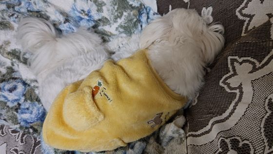 10.9.マル.JPG