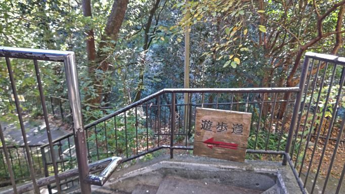 11.14鳩ノ巣.JPG