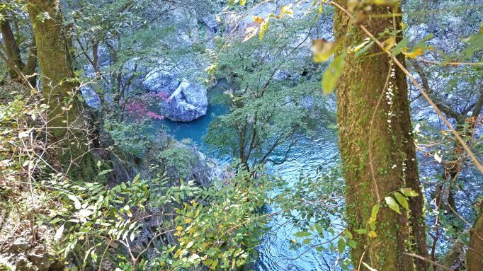 11.14鳩ノ巣1.JPG
