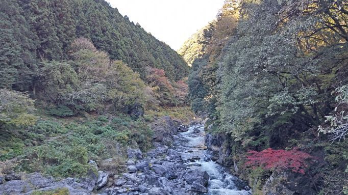 11.14鳩ノ巣5JPG.JPG