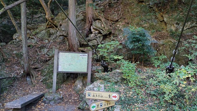 11.14鳩ノ巣9.JPG