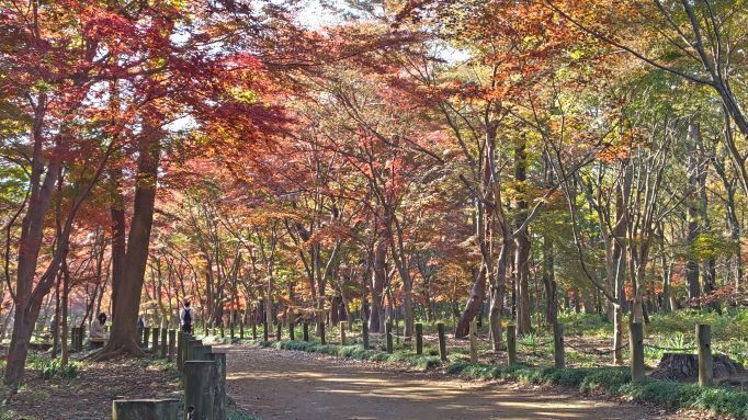 11.28..平林寺..11JPG.JPG