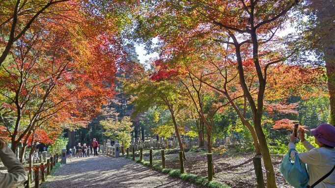 11.28..平林寺..14PG.JPG