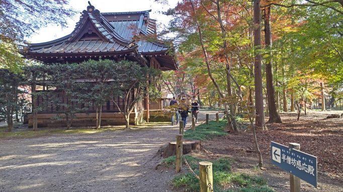 11.28..平林寺..17PG.JPG