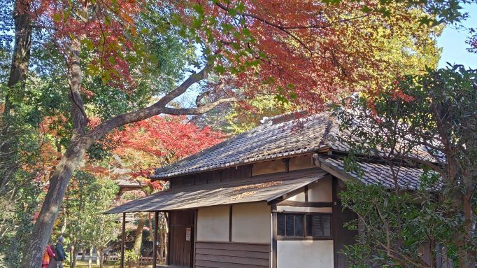 11.28..平林寺..18PG.JPG