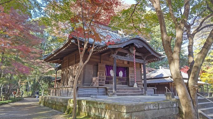 11.28..平林寺..20PG.JPG