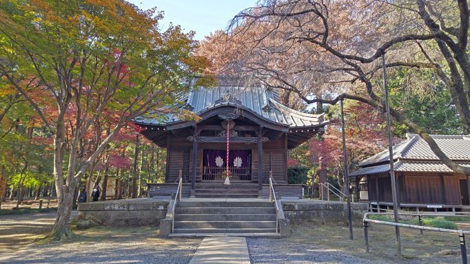 11.28..平林寺..21PG.JPG