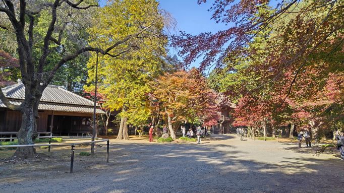 11.28..平林寺..22PG.JPG