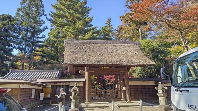 11.28..平林寺..26PG.JPG