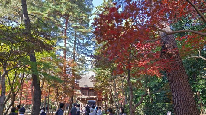 11.28平林寺0.JPG
