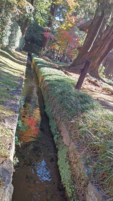 11.28平林寺12.JPG