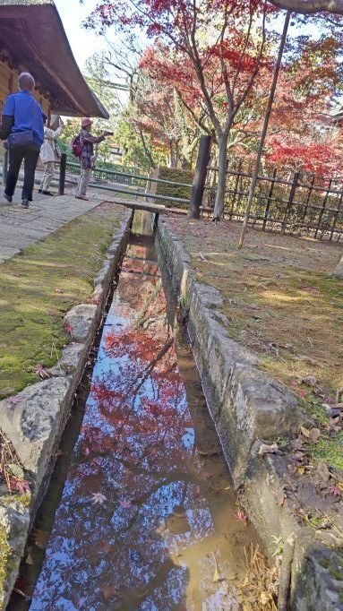 11.28平林寺13.JPG