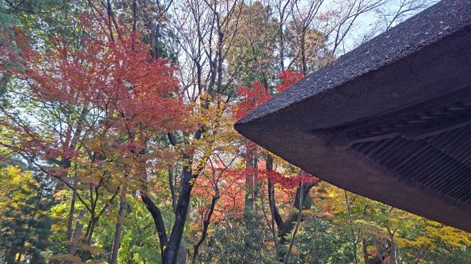 11.28平林寺14.JPG