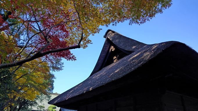 11.28平林寺15.JPG