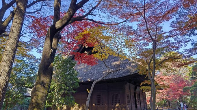 11.28平林寺16.JPG