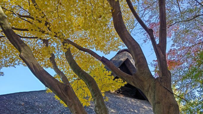 11.28平林寺17.JPG
