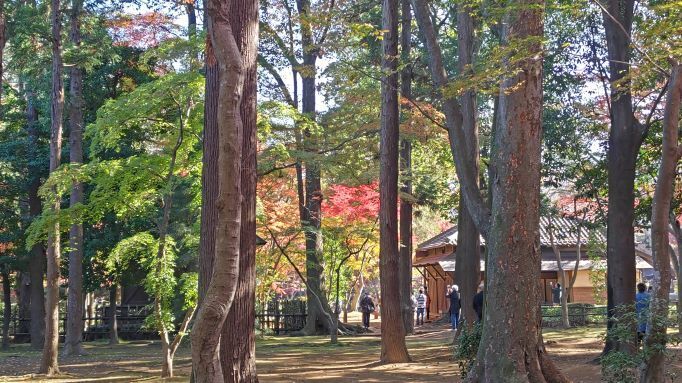 11.28平林寺21.JPG
