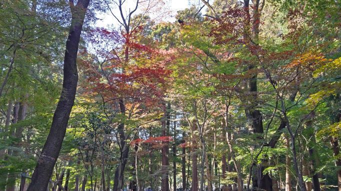 11.28平林寺25.JPG