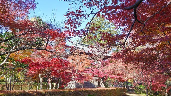 11.28平林寺9.JPG