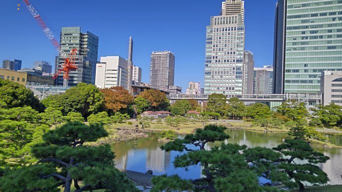 11.8旧芝離宮8.JPG