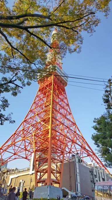 11.8東京タワー10.JPG
