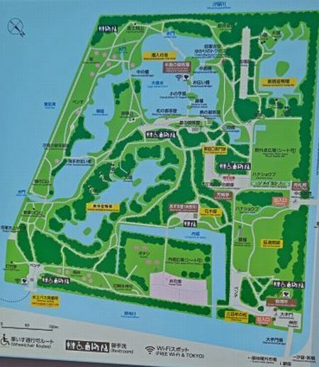 11.8浜離宮恩賜1.JPG