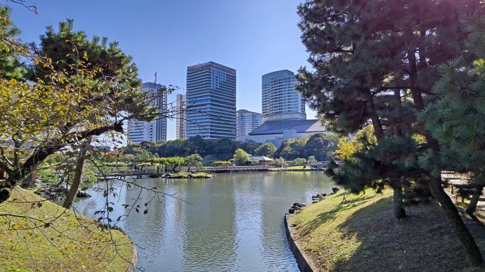 11.8浜離宮恩賜2.JPG
