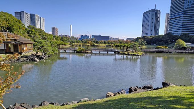 11.8浜離宮恩賜3.JPG