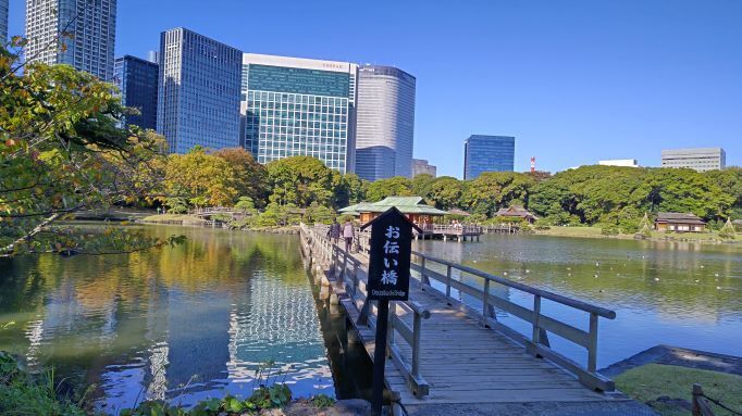 11.8浜離宮恩賜7.JPG
