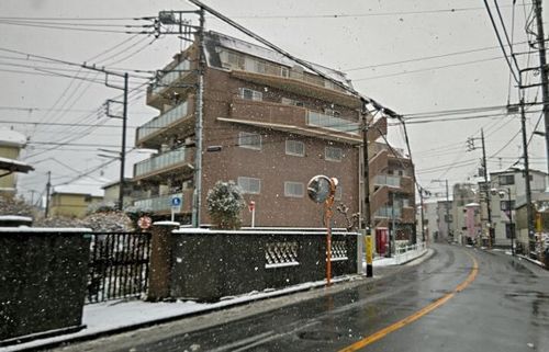 2.10雪ヒル.JPG